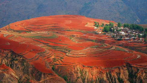 ĐẤT ĐỎ BAZAN